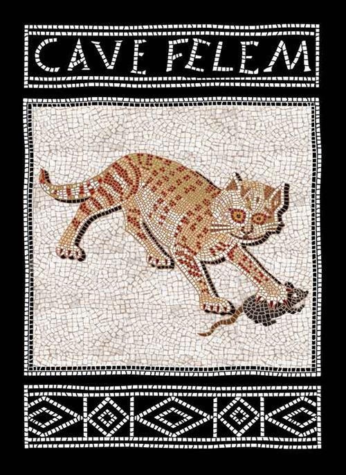 Cave felem. Ediz. italiana e inglese - copertina