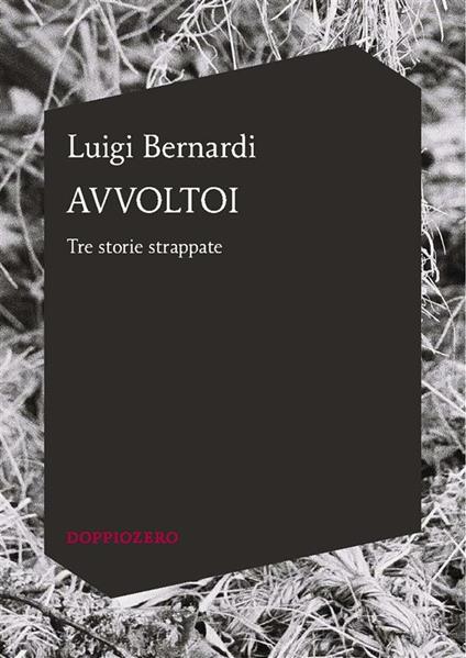 Avvoltoi. Tre storie strappate - Luigi Bernardi - ebook