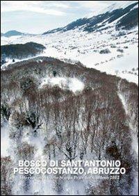 Bosco di Sant'Antonio. Pescocostanzo, Abruzzo. The 23 international Carlo Scarpa prize for gardens. Ediz. multilingue - copertina