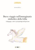 Breve viaggio nell'immaginario simbolico della follia. Il linguaggio i colori e la psicopatologia dell'espressione