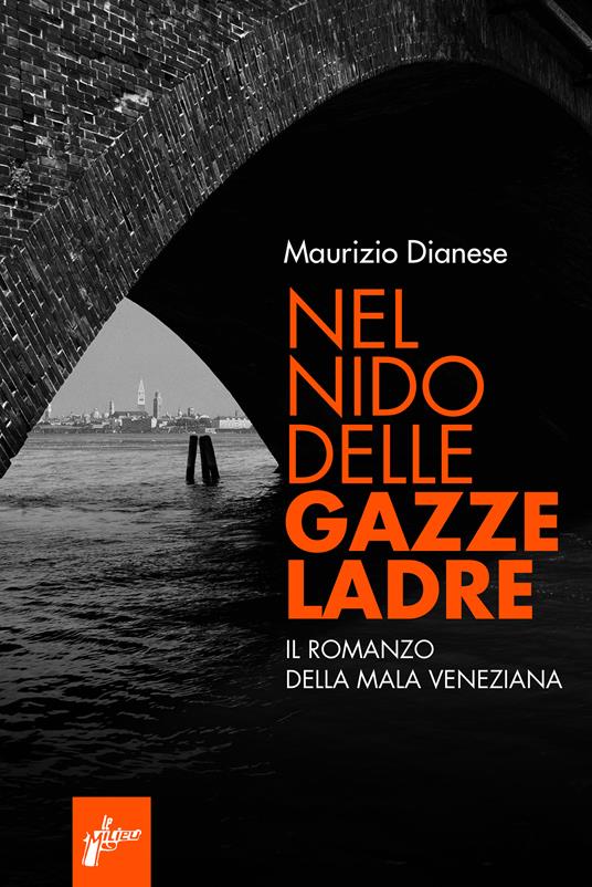 Nel nido delle gazze ladre. Il romanzo della mala veneziana - Maurizio Dianese - ebook