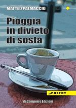 Pioggia in divieto di sosta