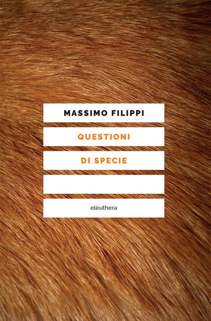 Questioni di specie - Massimo Filippi - copertina