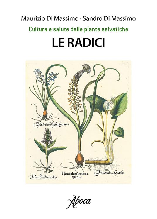 Le radici - Maurizio Di Massimo,Sandro Di Massimo - copertina