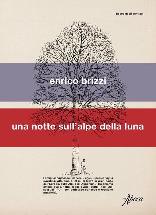 Una notte sull'alpe della luna - Enrico Brizzi - copertina