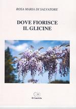 Dove fiorisce il glicine