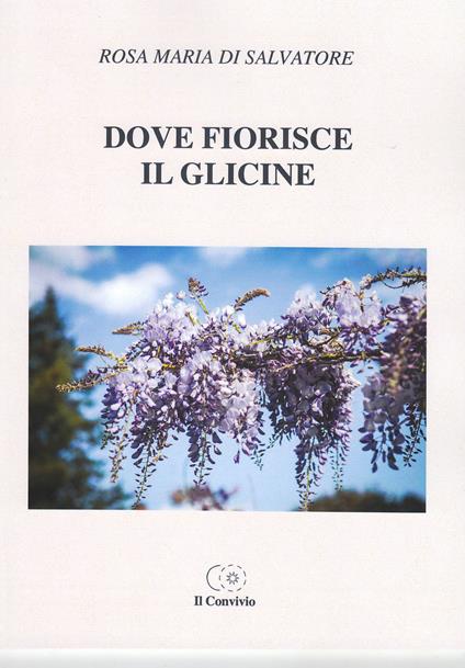 Dove fiorisce il glicine - Rosa Maria Di Salvatore - copertina