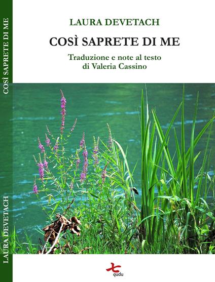 Così saprete di me - Laura Devetach - copertina