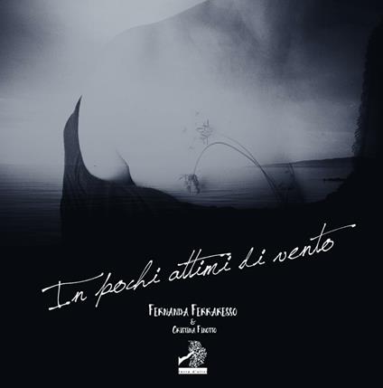 In pochi attimi di vento - Fernanda Ferraresso - copertina