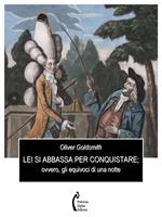 Lei si abbassa per conquistare; ovvero, gli equivoci di una notte