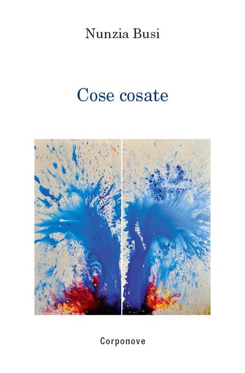 Cose cosate - Nunzia Busi - copertina