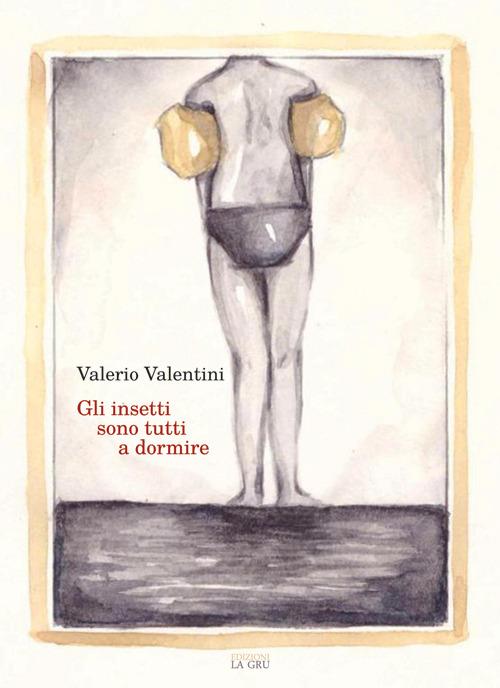 Gli insetti sono tutti a dormire - Valerio Valentini - copertina