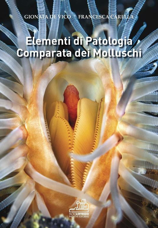 Elementi di patologia comparata dei molluschi - Gionata De Vico,Francesca Carella - copertina