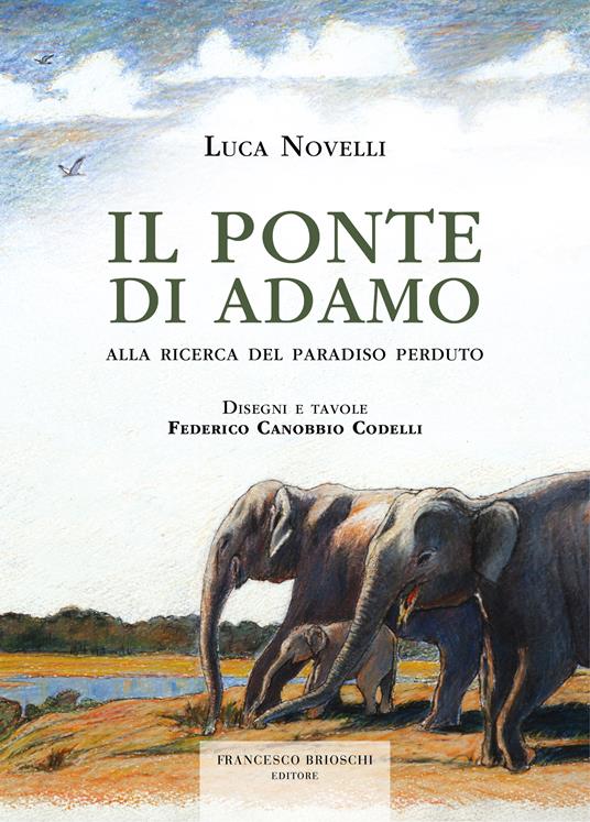 Il ponte di Adamo - Luca Novelli - copertina