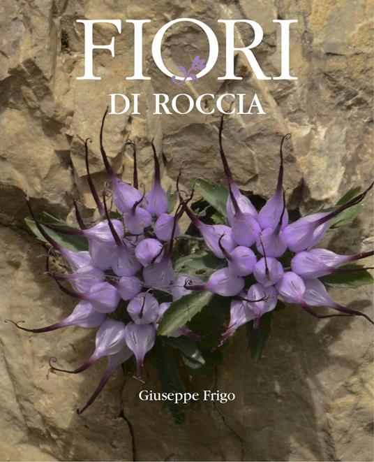 Fiori di roccia - Giuseppe Frigo - copertina