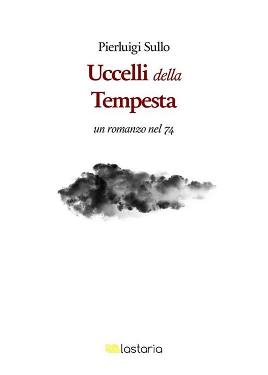 Gli uccelli nella tempesta. Un romanzo nel '74 - Pierluigi Sullo - copertina