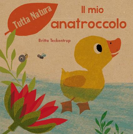 Il mio anatroccolo. Ediz. a colori - Britta Teckentrup - copertina