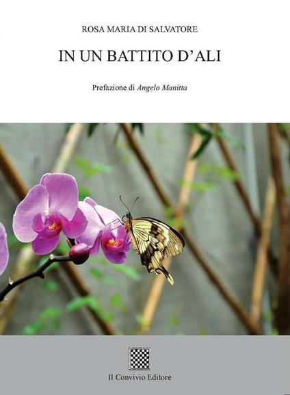 In un battito d'ali - Rosa Maria Di Salvatore - copertina