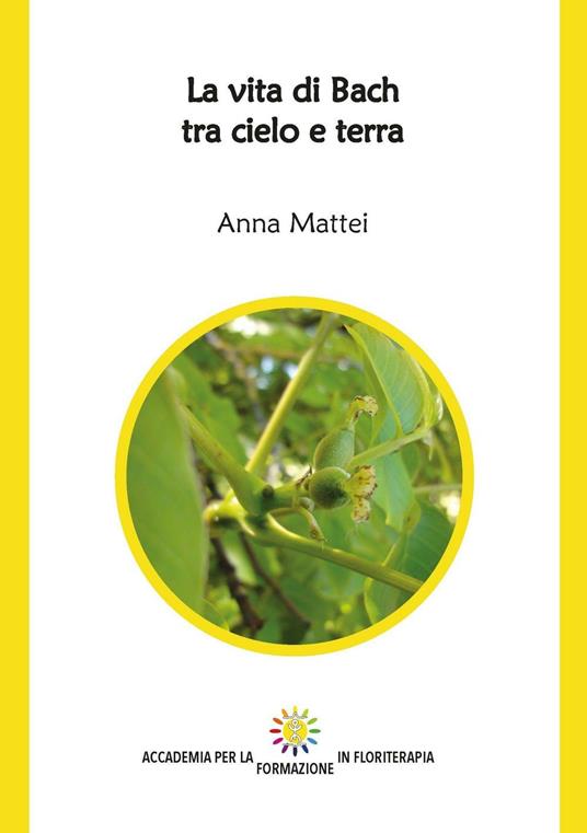 La vita di Bach tra cielo e terra. Ediz. integrale - Anna Mattei - copertina