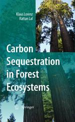 Carbon Sequestration in Forest Ecosystems