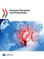 Business Dynamics and Productivity