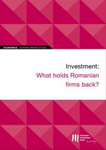 EIB Working Papers 2019/08 - Investment: What holds Romanian firms back?