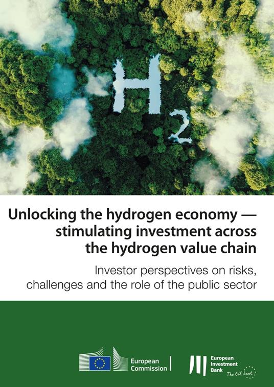 Unlocking the hydrogen economy — stimulating investment across the hydrogen value chain