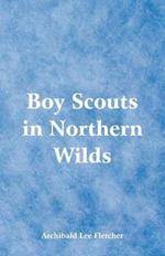 Boy Scouts in Northern Wilds