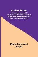 Ancient Plants; Being a Simple Account of the past Vegetation of the Earth and of the Recent Important Discoveries Made in This Realm of Nature