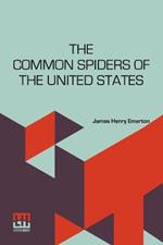 The Common Spiders Of The United States