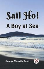 Sail Ho! A Boy at Sea