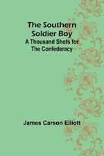 The Southern Soldier Boy: A Thousand Shots for the Confederacy