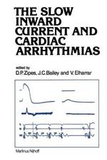 The Slow Inward Current and Cardiac Arrhythmias