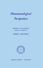 Phenomenological Perspectives