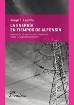 La energía en tiempos de Alfonsín