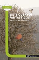 Siete Cuentos Fantasticos