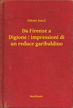 Da Firenze a Digione : impressioni di un reduce garibaldino