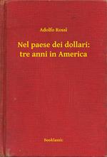 Nel paese dei dollari: tre anni in America