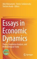 Essays in Economic Dynamics: Theory, Simulation Analysis, and Methodological Study