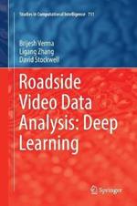 Roadside Video Data Analysis: Deep Learning