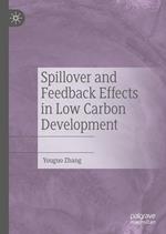 Spillover and Feedback Effects in Low Carbon Development