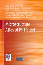 Microstructure Atlas of P91 Steel