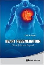 Heart Regeneration: Stem Cells And Beyond