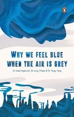 Why We Feel Blue When the Air is Grey