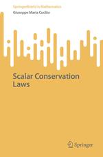 Scalar Conservation Laws
