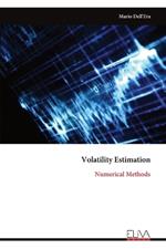 Volatility Estimation: Numerical Methods