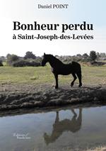 Bonheur perdu à Saint-Joseph-des-Levées