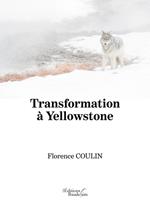 Transformation à Yellowstone