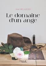 Le domaine d'un ange