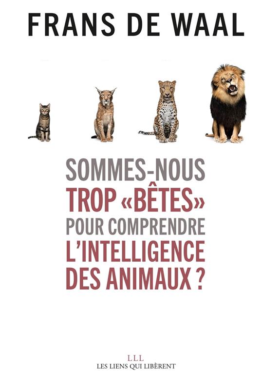 Sommes-nous trop « bêtes » pour comprendre l'intelligence des animaux ?